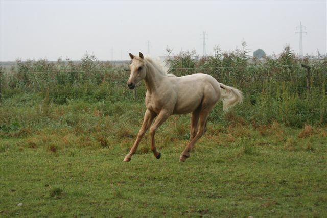 Kennenlernen bilder